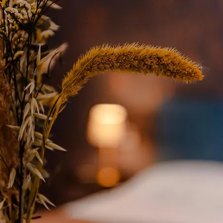 Апартаменты 24vaticansuite