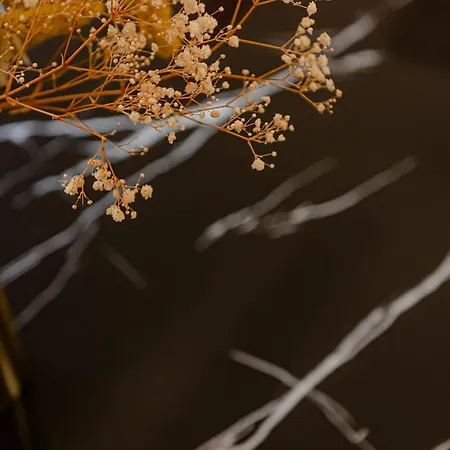 Апартаменты 24vaticansuite Рим