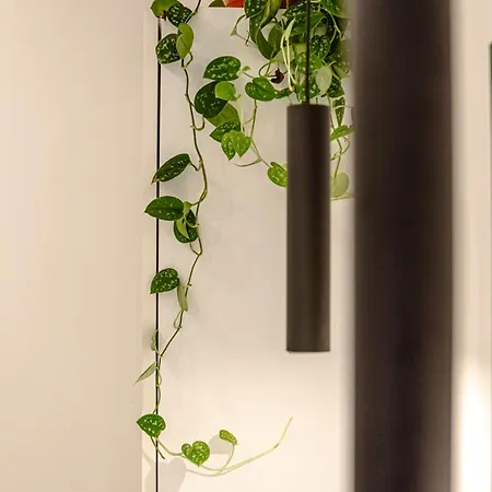 Апартаменты 24vaticansuite *