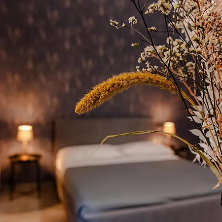 24vaticansuite 아파트 *